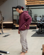 Load image into Gallery viewer, Seeker Jogger - Fog
